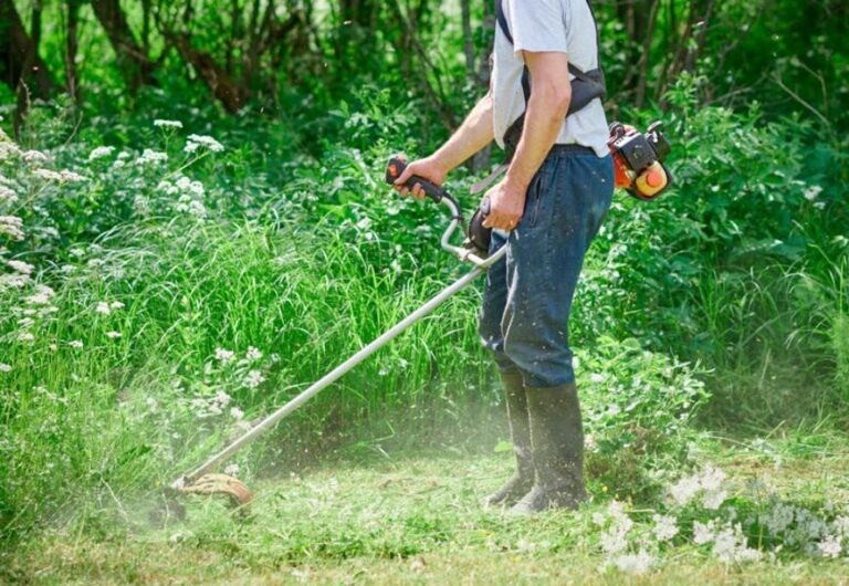 Brush Cutter and Clearing Saw 5 Tips for Sharpening and Maintenance