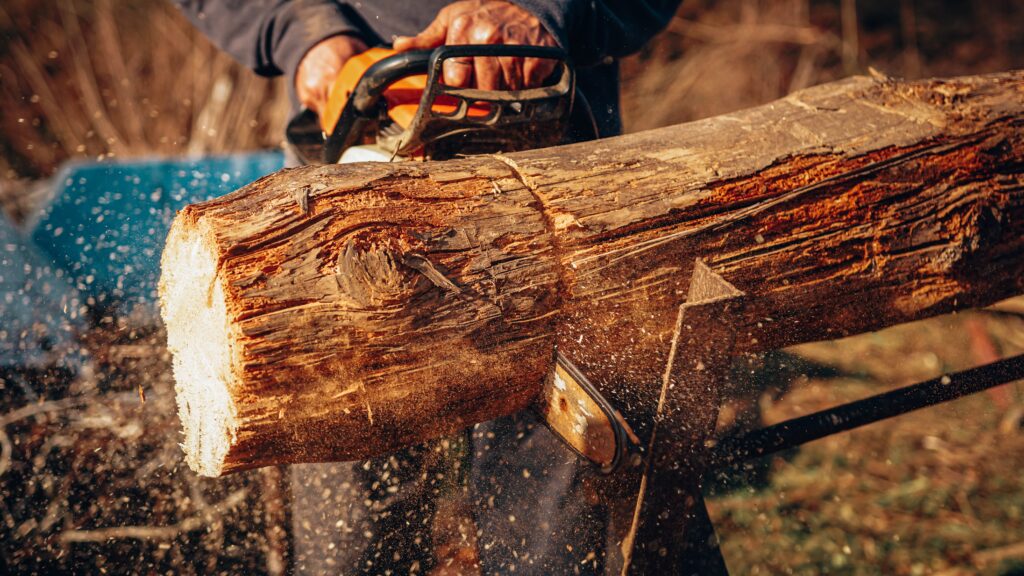 Firewood cutting with chainsaw